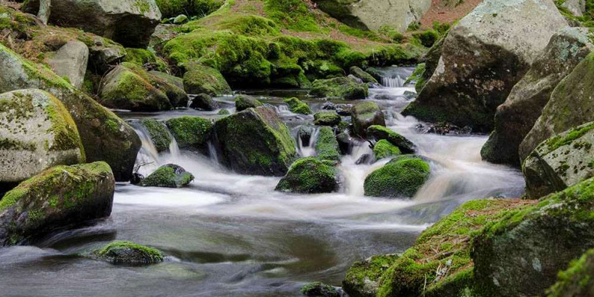 Národní park Šumava - Povydří